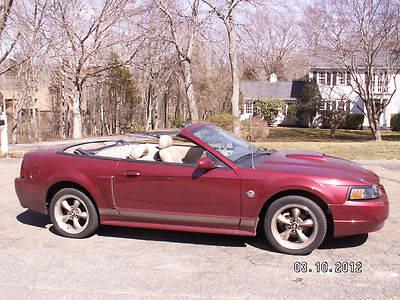 2004 ford mustang 40th anniversary edition reviews