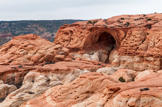 capitol reef national park reviews