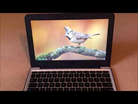 asus chromebook c202sa ys02 review