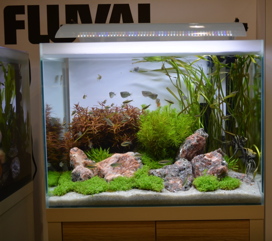 fluval m series heater review