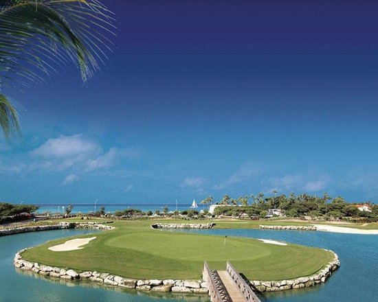 divi village golf and beach resort reviews