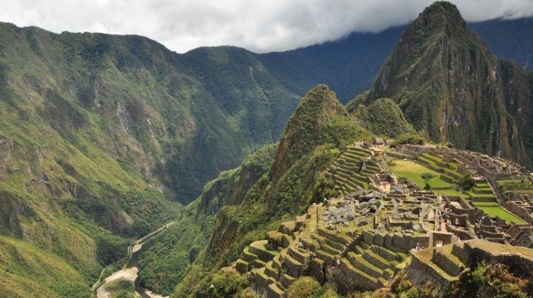 machu picchu jungle trek reviews