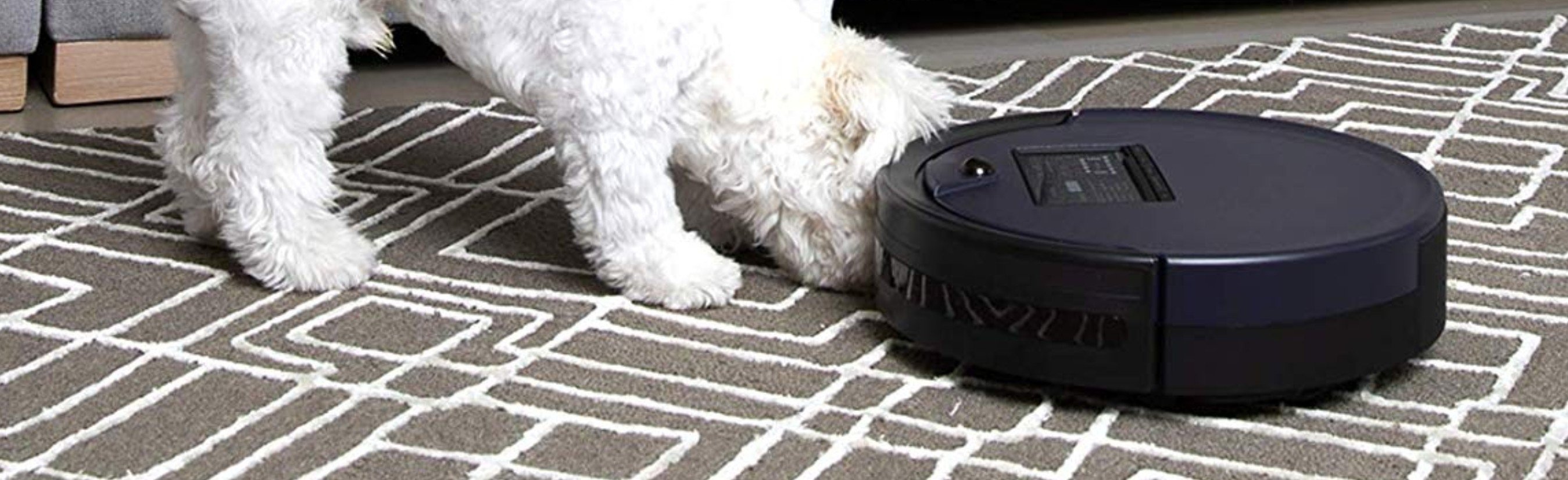 bobsweep pet hair robotic vacuum reviews