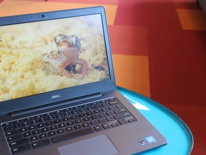 asus chromebook c202sa ys02 review