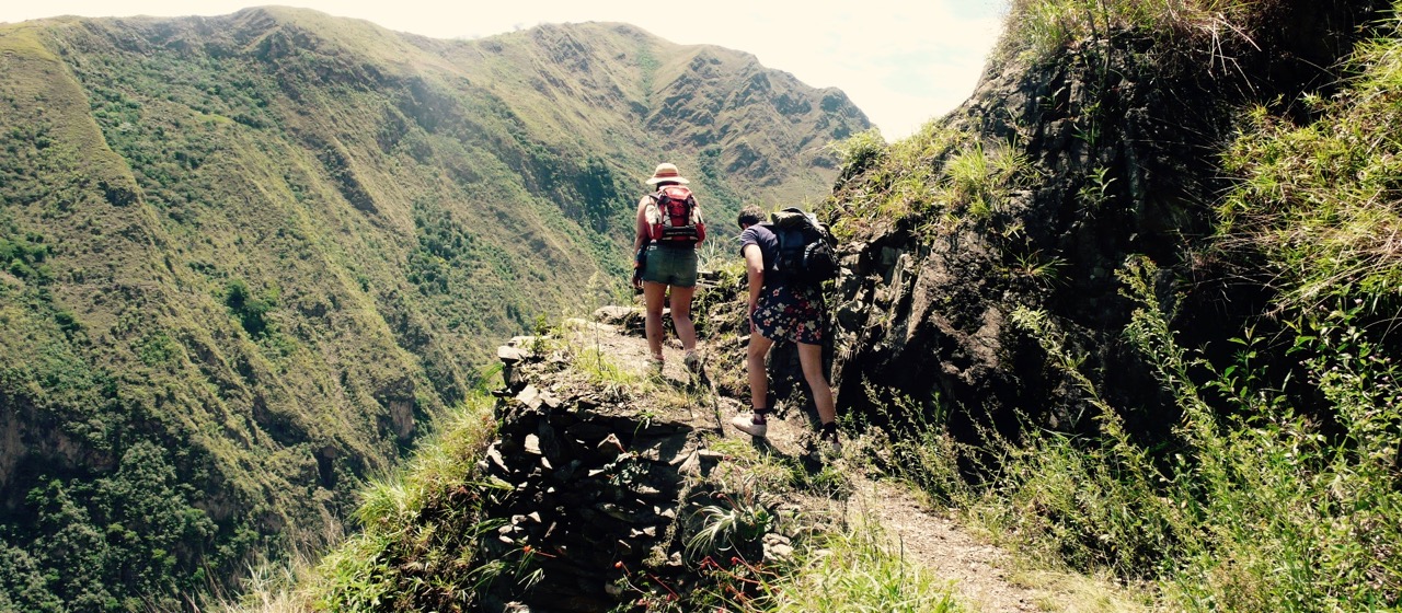 machu picchu jungle trek reviews