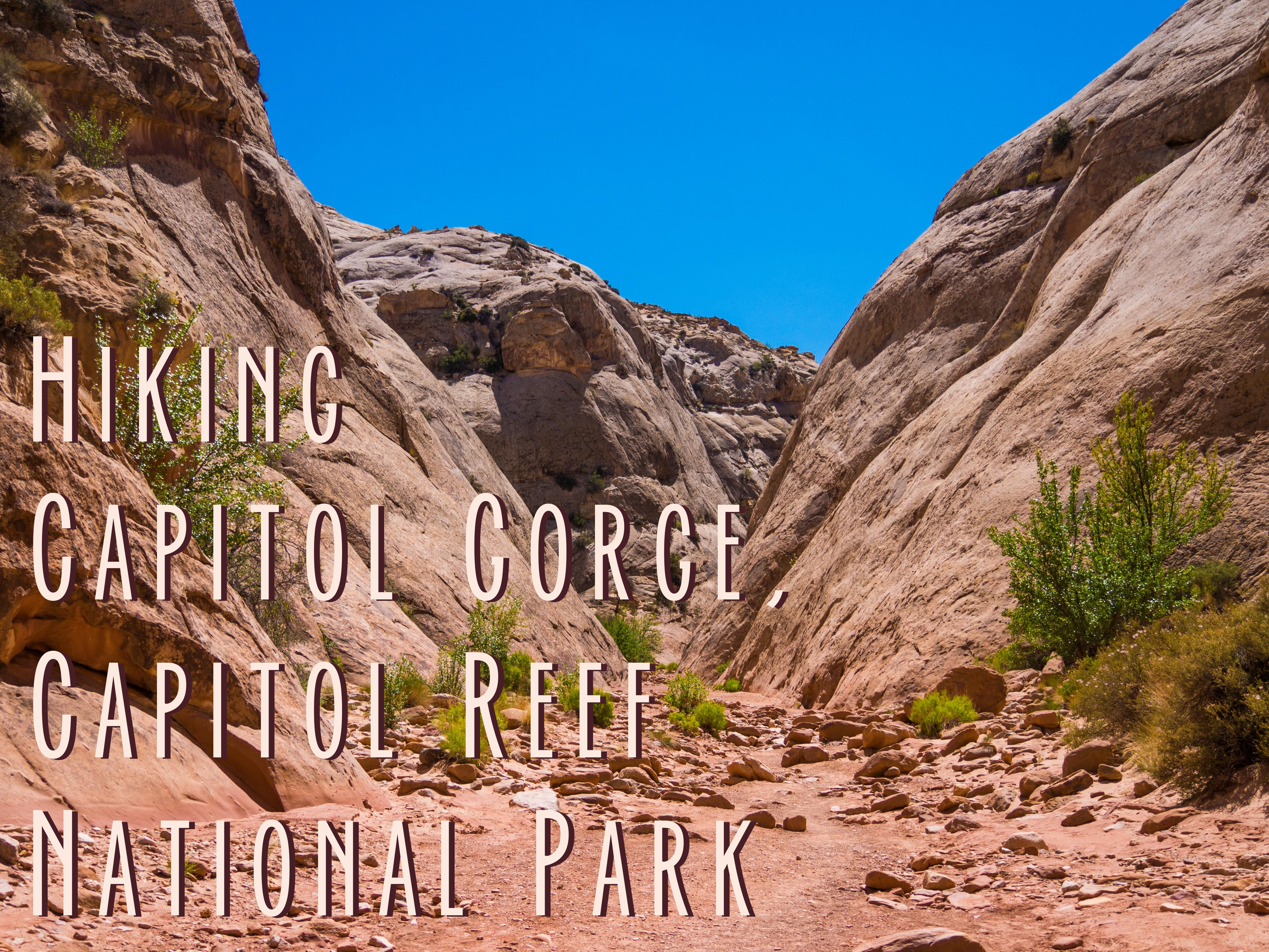 capitol reef national park reviews