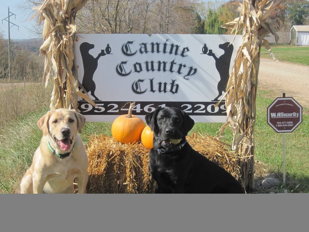 country club for pets reviews