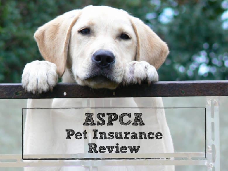 aspca pet health insurance reviews