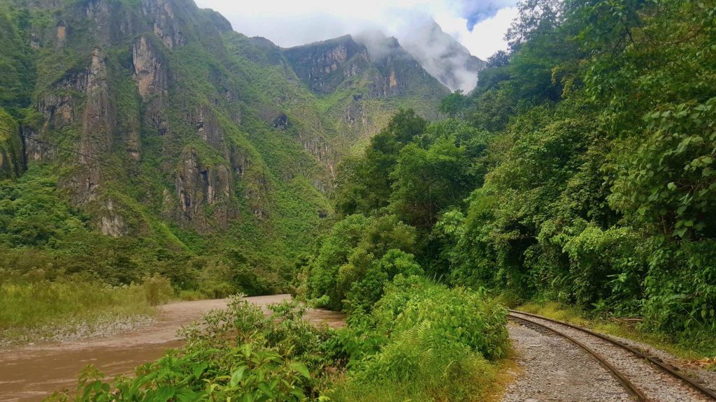 machu picchu jungle trek reviews