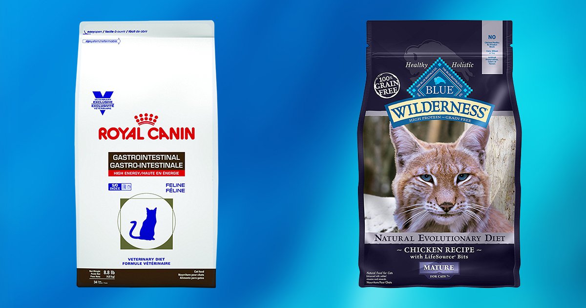 go cat dry food review