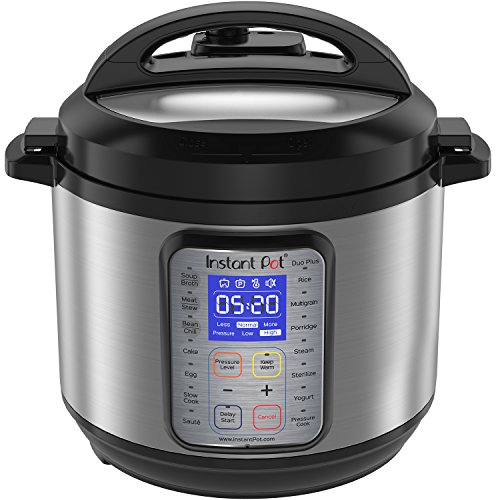 instant pot 10 in 1 review